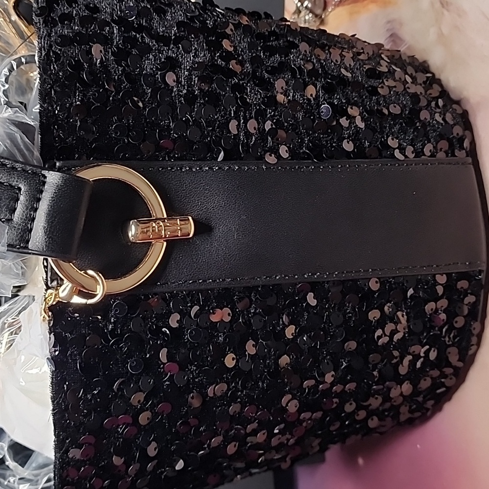 Elegant Badgley Mischka Black and Gold Women's Bag